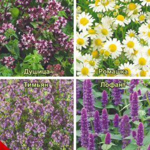 Травы для чая Ароматы лета 0,45 г Н16