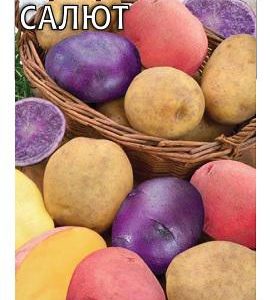 Картофель Салют 0,025 г Н16