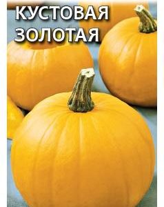 Тыква Кустовая золотая 1,0 г