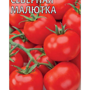 Томат Северная малютка 0,1 г Н16