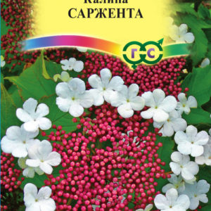 Калина Саржента 0,5 г Н16