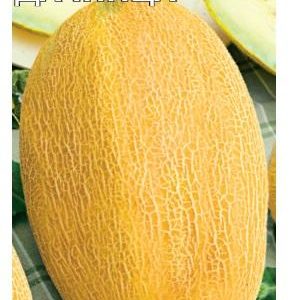 Дыня Дачница 5 шт. Н16