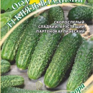 Огурец Князь Владимир F1 10 шт. автор. Н16