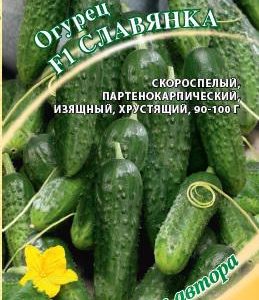 Огурец Славянка F1 F1 10 шт. автор. Н16