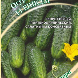 Огурец Енисей F1 10 шт. автор. Н16