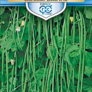 Вигна Каланча 5 г серия Русский богатырь Н17