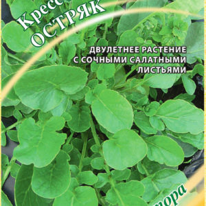 Кресс Остряк, многолетний 2,0 г автор. Н16