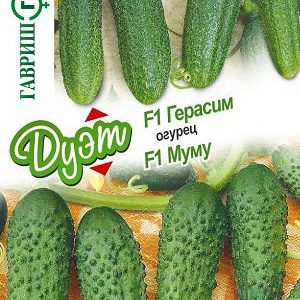 Огурец Герасим F1+Муму F1 автор.серия Дуэт 20 шт. Н17
