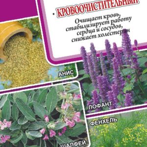 Лекарственный огород Кровоочистительный* 2,0 г Н17