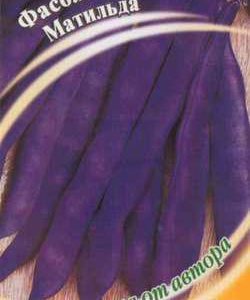 Фасоль Матильда 5,0 г автор.