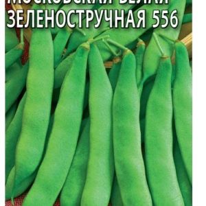 Фасоль Московская белая зеленостручная 556 5,0 г сер.Традиция