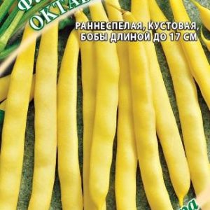 Фасоль Октава 5,0 г автор.