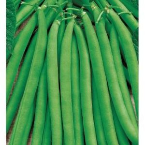 Фасоль Сакса Без Волокна 615 5,0 г сер. Традиция