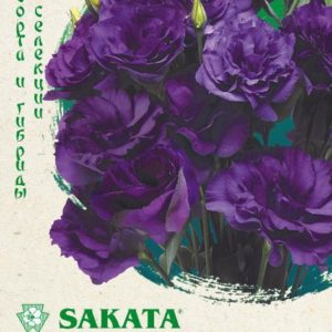 Эустома Эхо пурпур F1 5шт. гранул. пробирка, Саката серия Эксклюзив Н17