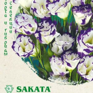 Эустома Эхо Пикоти голубая F1 5шт. гранул. пробирка, Саката серия Эксклюзив Н17