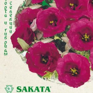 Эустома Мариачи кармин махровая F1 5шт. гранул. пробирка Саката серия Эксклюзив Н17