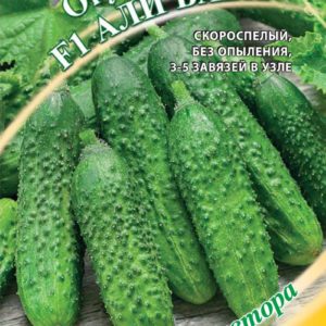 Огурец Али-Баба F1 10 шт. автор. Н16