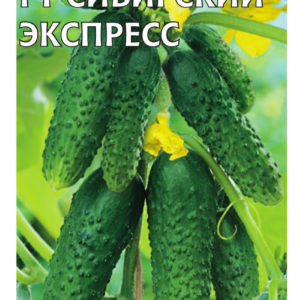 Огурец Сибирский F1 экспресс 10 шт. Н16