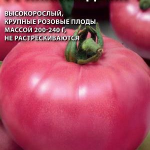 Томат Пинк Мэджик F1 5 шт. (Саката) Н17