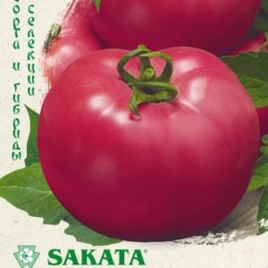 Томат Пинк Буш F1 5 шт. (Саката) Н17