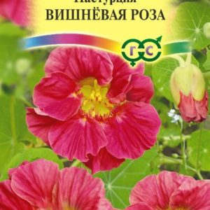 Настурция Вишневая роза 1,0 г
