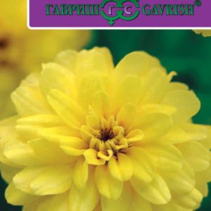 Цинния Захара желтая 6 шт. Н17