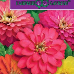 Цинния Захара смесь 6 шт. Н17