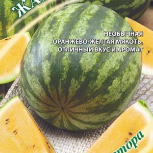 Арбуз Жарок 1 г автор. Н18