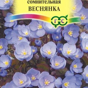 Джефферсония сомнительная Веснянка 0,05 г Н17