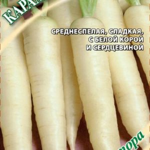 Морковь Карамель сахарная 150 шт. автор. Н17