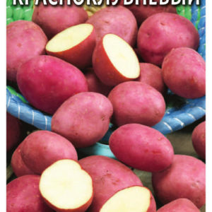 Картофель Красноклубневый 0,025 г Н16