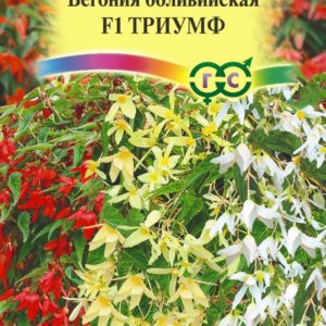 Бегония боливийская Триумф, смесь F1 гранул. 5 шт. пробирка