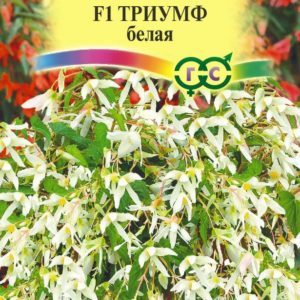 Бегония боливийская Триумф белый F1 гранул. 5 шт. пробирка