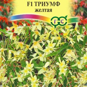 Бегония боливийская Триумф желтый F1 гранул. 5 шт. пробирка