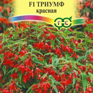 Бегония боливийская Триумф красный F1 гранул. 5 шт. пробирка