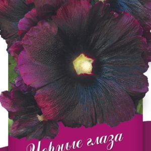 Мальва Черные глаза*10 шт Н17