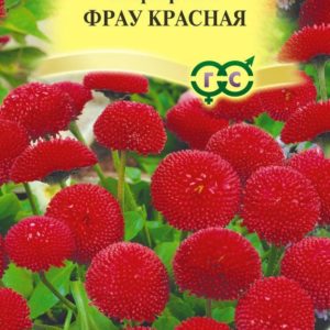 Маргаритка Фрау Красная *5 шт гран. пробирка Н17