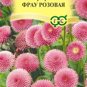 Маргаритка Фрау розовая *5 шт гранул. пробирка Н17