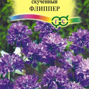 Колокольчик скученный Флиппер 0,01 г Н17