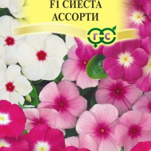 Катарантус Сиеста ассорти F1 *7 шт, Н17