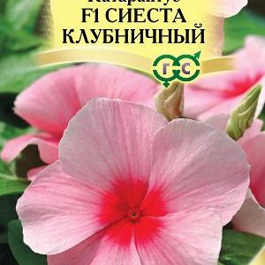 Катарантус Сиеста клубничный F1*7 шт, Н17