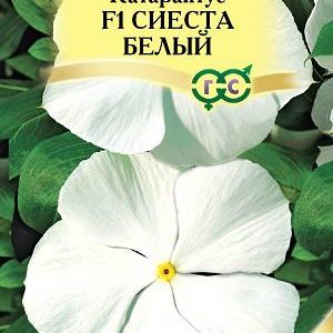 Катарантус Сиеста белый F1*7 шт, Н17