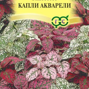 Гипоэстес Капли акварели *5 шт, Н17