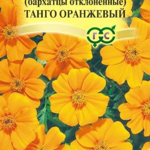 Бархатцы откл. Танго оранжевый (Тагетес)*10 шт. Н17
