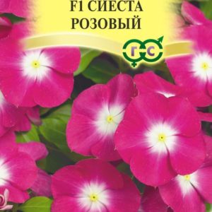 Катарантус Сиеста розовый F1*7шт, Н17