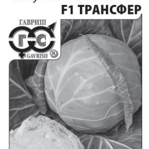 Капуста белокоч. Трансфер F1 0,1 г (б/п с евроотв.)