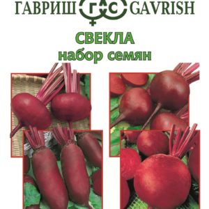 Набор семян Свекла 4 пакета (бп)