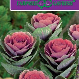 Капуста декоративная Крейн красная F1 серия Эсклюзив 7 шт.Н17