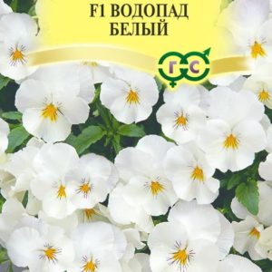 Виола Водопад белый F1, ампельная Виттрока (Анютины глазки)* 5 шт. Н17