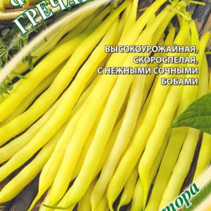 Фасоль Гречанка 5 г автор. Н17